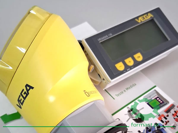 VEGAPUL 21 + VEGADIS 176. Formast